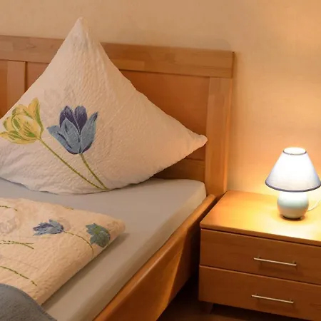 Haus Aladin * 科赫姆