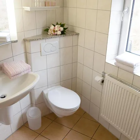 Haus Aladin 公寓 科赫姆