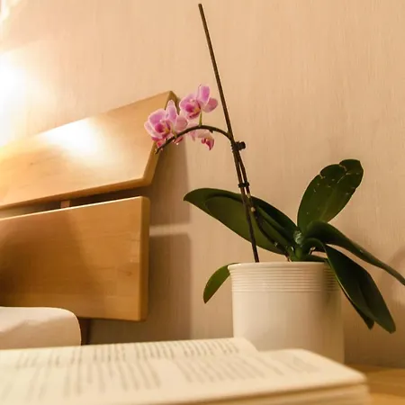 Haus Aladin * 科赫姆