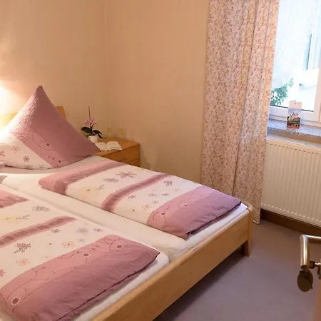 Gaestehaus Aladin Apartment Cochem