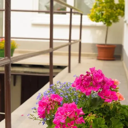 公寓 Haus Aladin 科赫姆