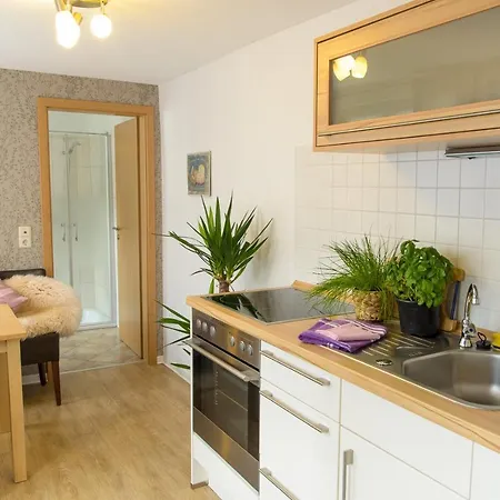 Haus Aladin * 科赫姆