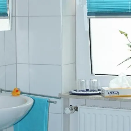 Haus Aladin 公寓 *