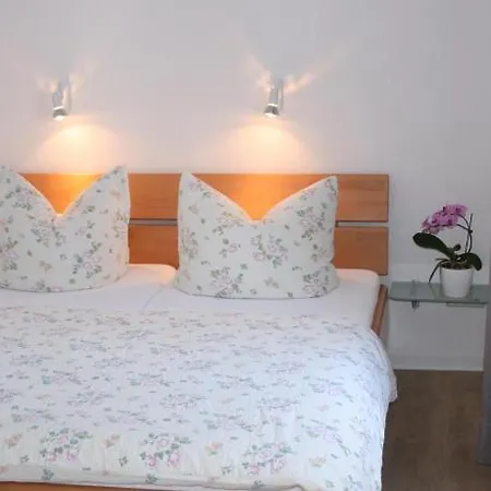 Apartment Gaestehaus Aladin Cochem