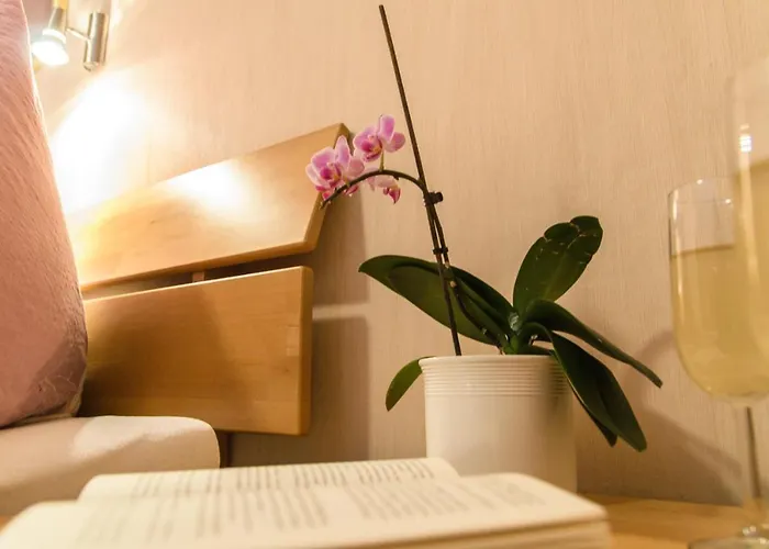 Haus Aladin * Cochem